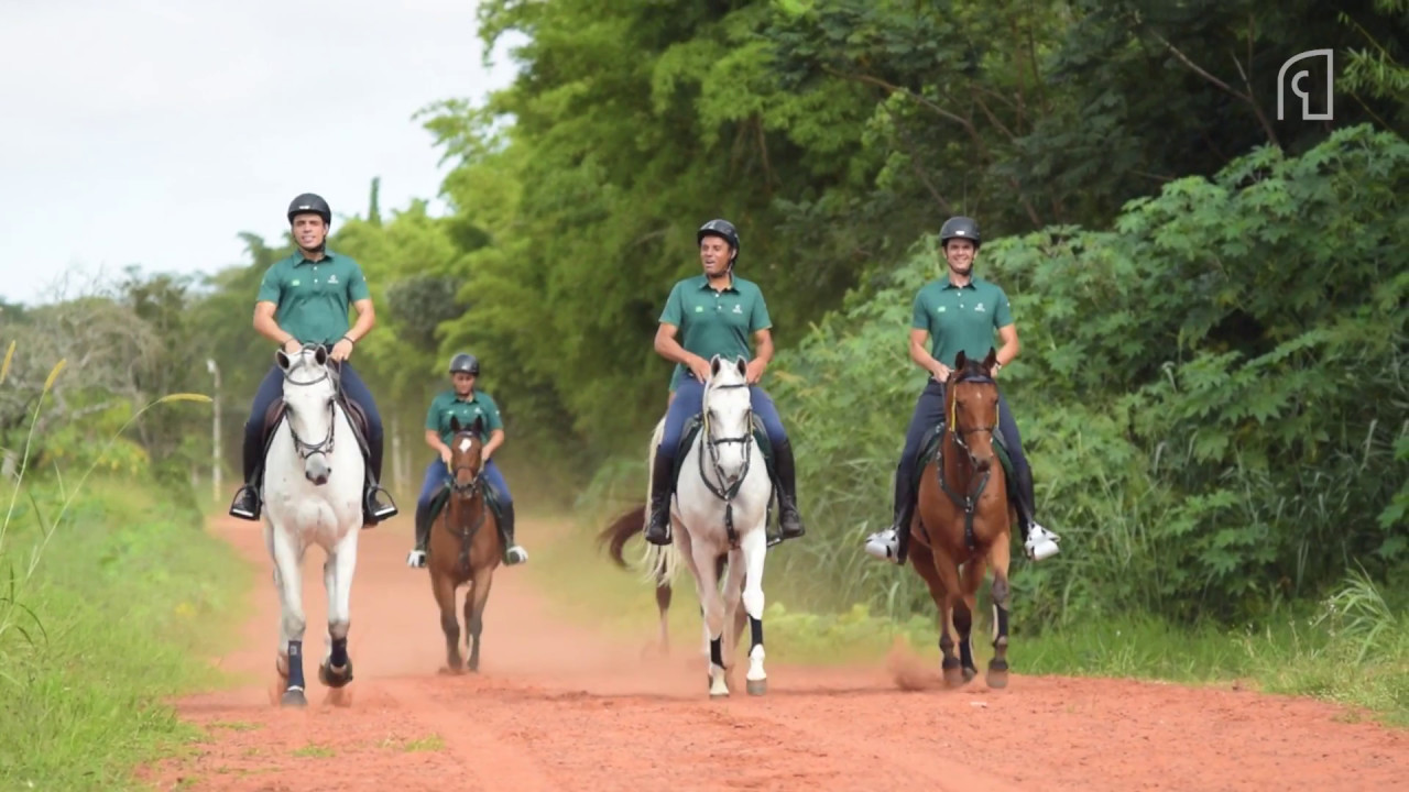 Dia a Dia no Hipismo com CHEVAUX Team