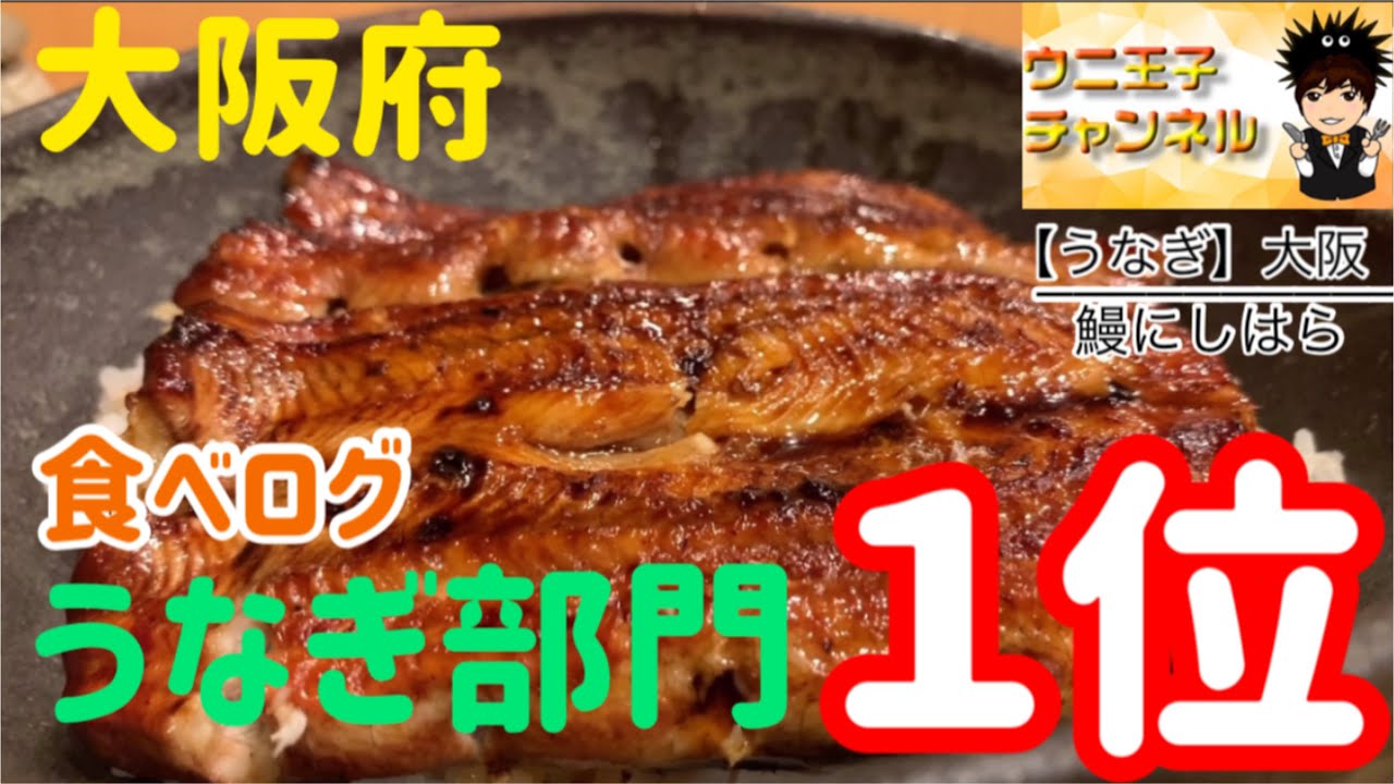 【大阪グルメ】鰻にしはら/うなぎ　食べログ大阪府うなぎ部門1位　ウニ王子チャンネル#25