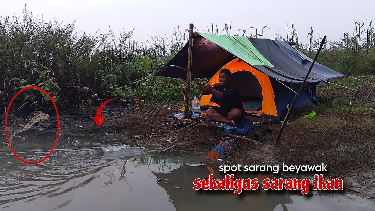 Camp fishing ep98 HAMPIR BEREBUT IKAN SAMA BEYAWAK BUAS