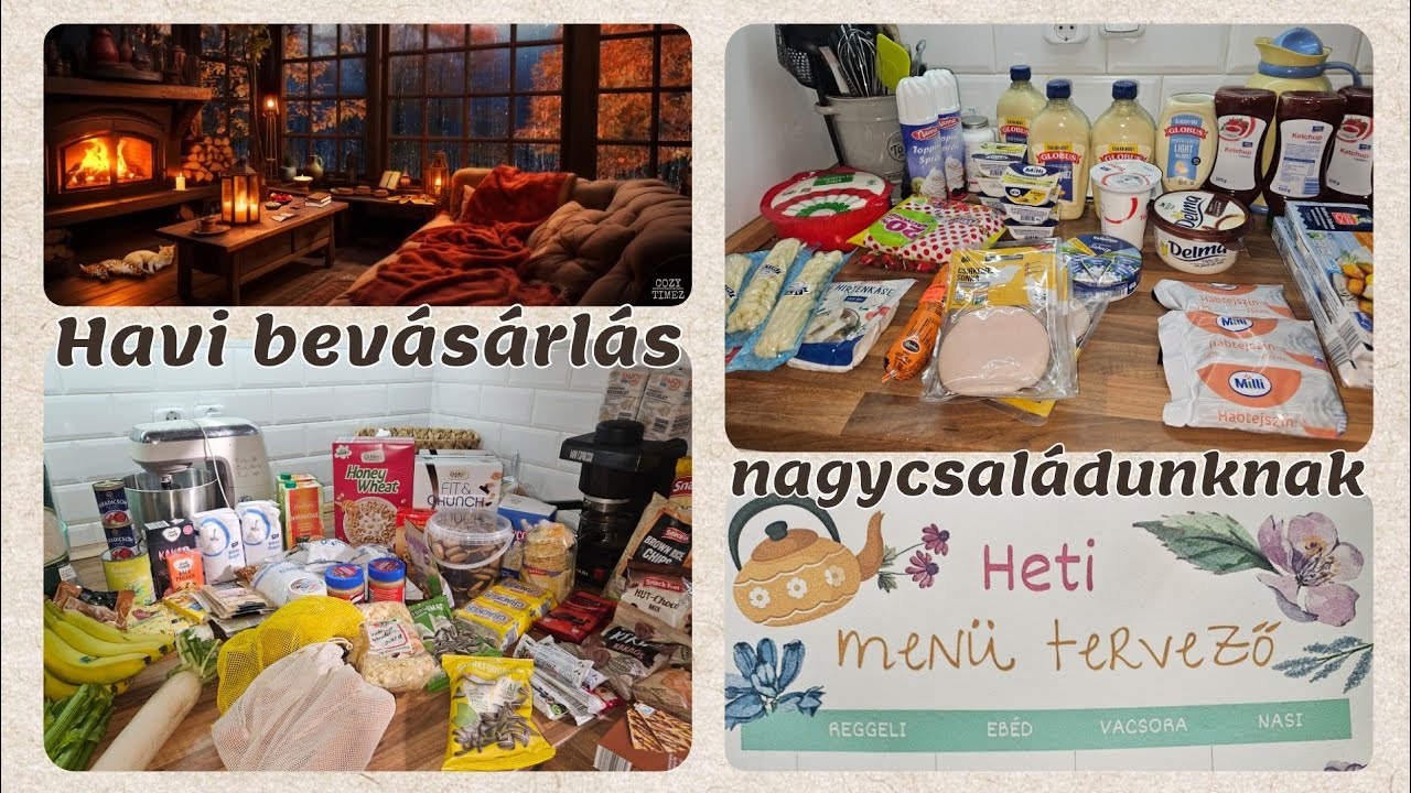 HAVI BEVÁSÁRLÁS 5 FŐS CSALÁDUNKNAK '25 november / ALDI, METRO HAUL