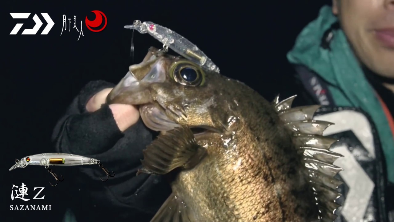 プラグでメバルを釣る！りんたこが解説！
