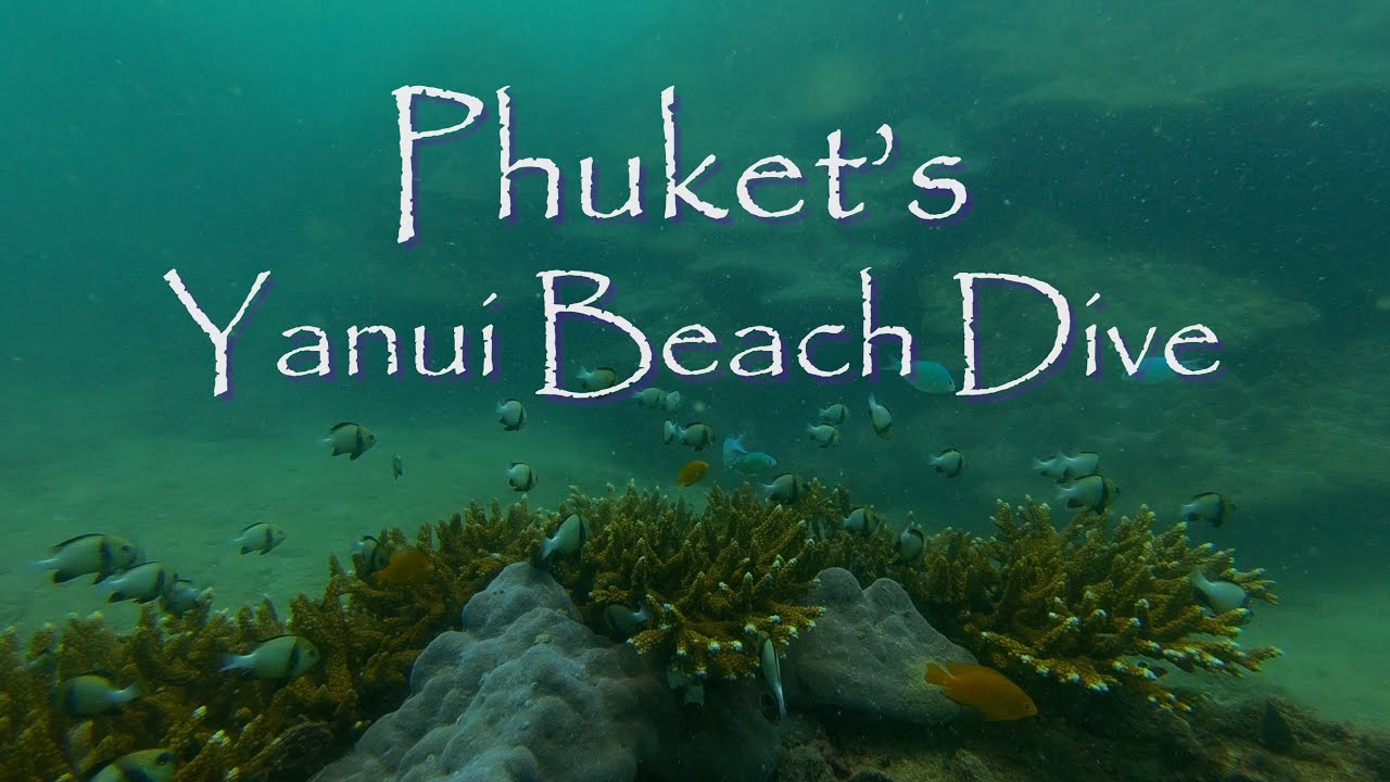 Phuket's Yanui Beach Shore Dive: Ep. 94 - Eastbound and Up