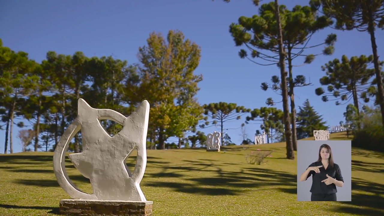 Vídeo Institucional - Museu Felícia Leirner
