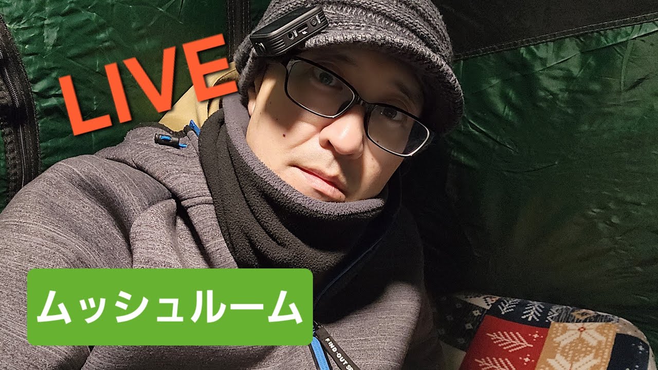 ムッシュがキャンプ場からこんばんわ‼️YouTube LIVE