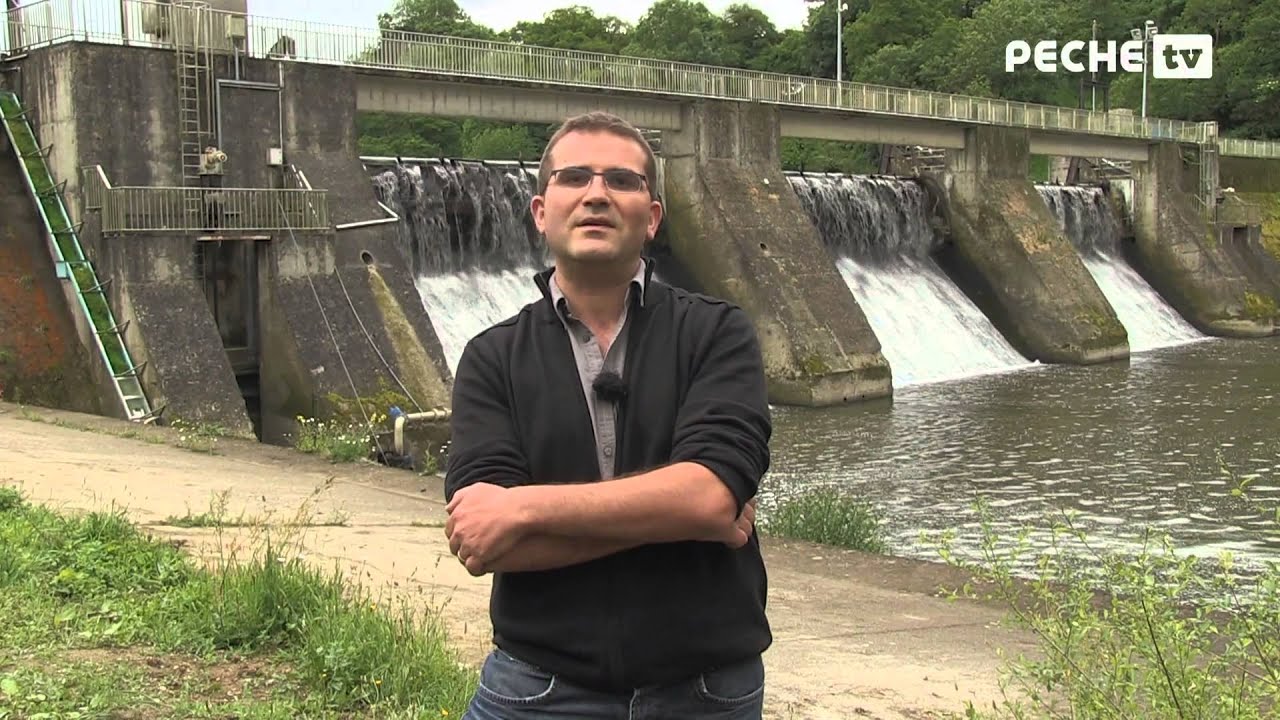 Suivi et protection de l'anguille en Vendée