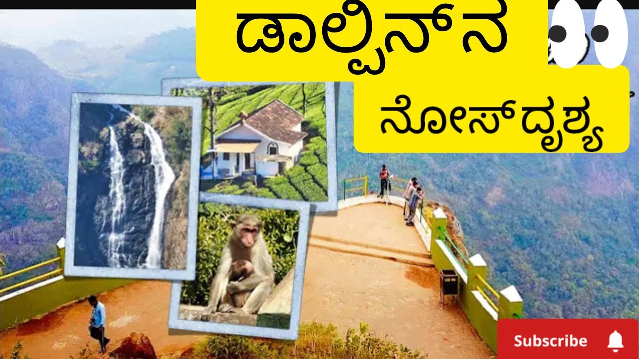Dolphin's nose in ooty / Coonoor / Ooty / @BharathKA09 #coonoor #dolphinsnose #kodaikanal