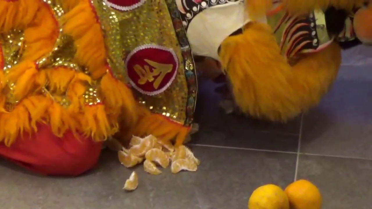 Lion Dance House Blessings pt 3, Chinese New Year 2017