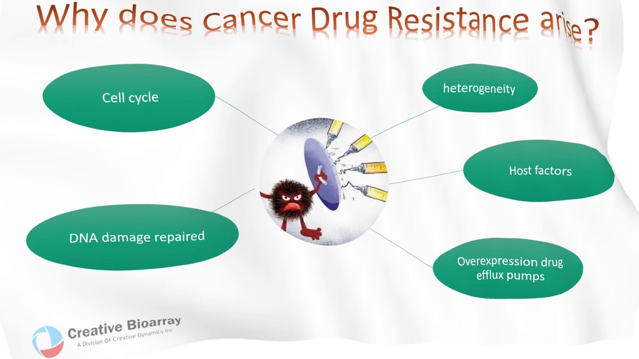 Drug-resistant tumor cell model generation