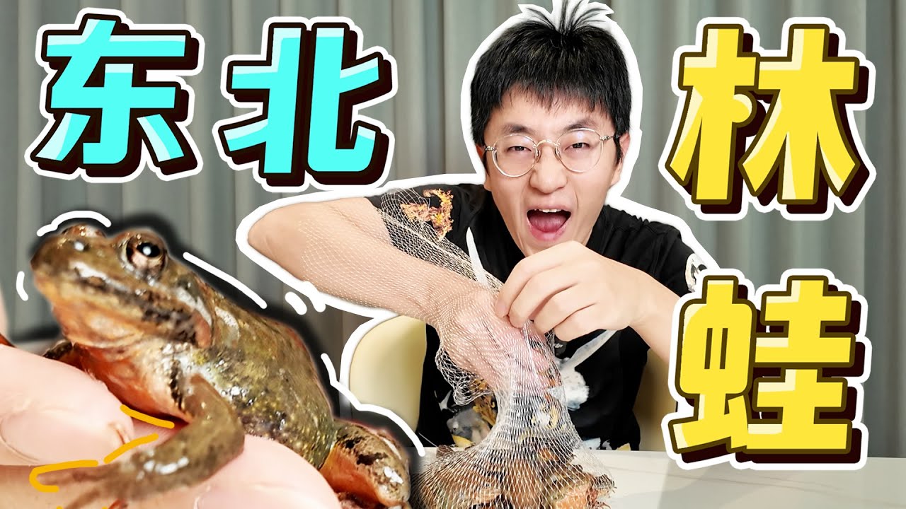 【大祥哥来了】终于买到鲜活东北林蛙了！满肚子的籽太香了！！！