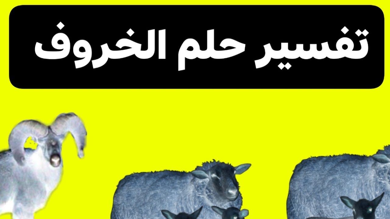 تفسير حلم رؤية الخوف من الخروف في المنام 