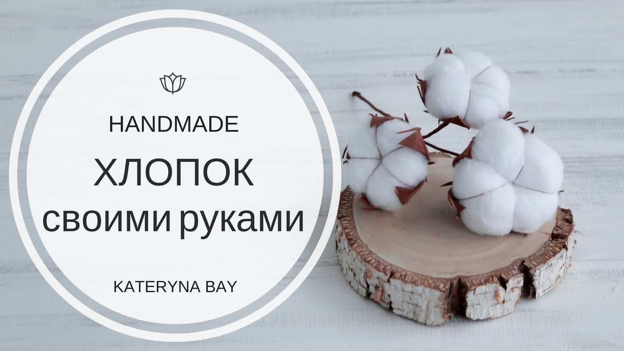 Как сделать цветок хлопка своими руками  | Веточка хлопка |  DIY Cotton Stems