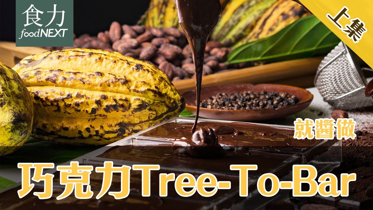 【就醬做】走進可可產地，尋覓「Tree To Bar巧克力」的風味起源！