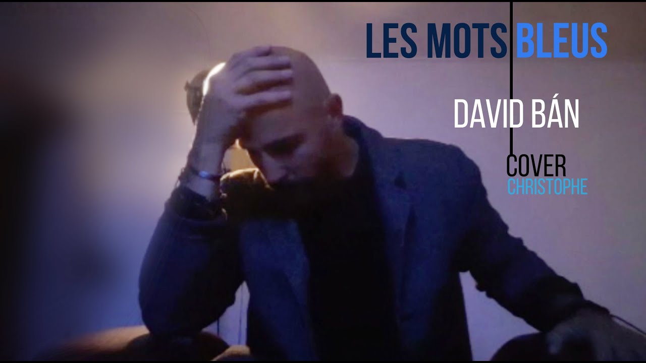 LES MOTS BLEUS - COVER - DAVID BÁN