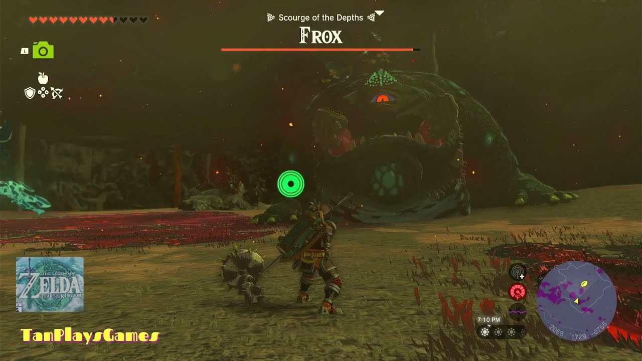 All Frox Location : Zelda Tears of The Kingdom.