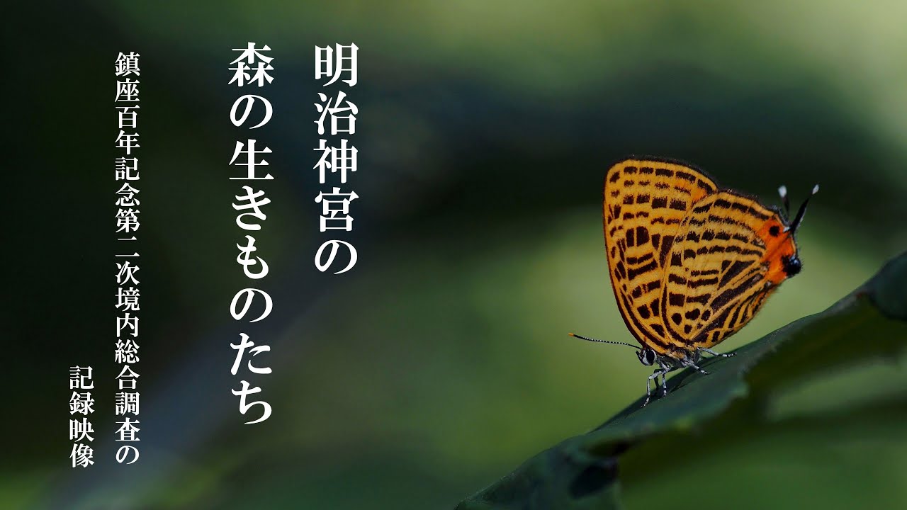 明治神宮の森の生きものたち　鎮座百年記念 第二次明治神宮境内総合調査記録映像