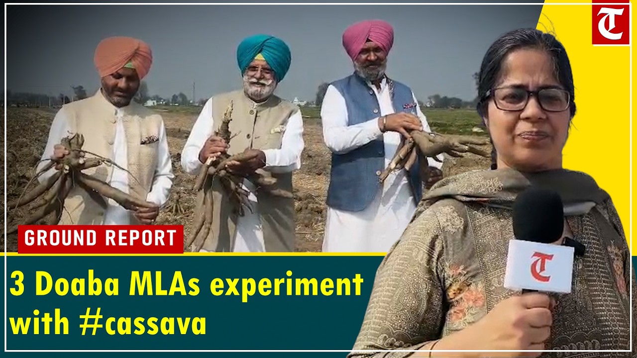 Punjab lawmakers introduce crop from South states to local farmers