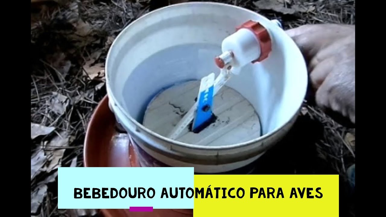 Автоматическая поилка для птиц