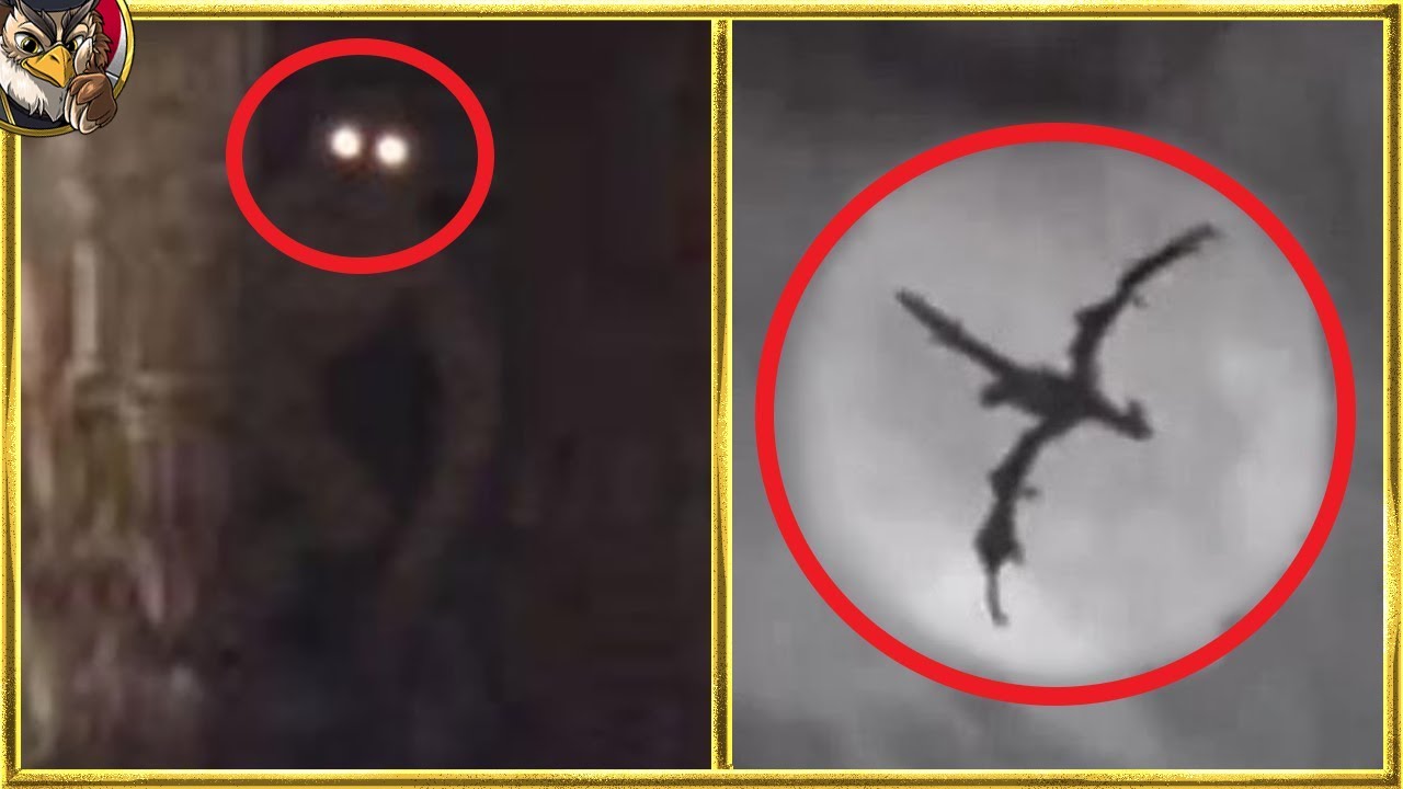 カメラに写った神話上の生物10