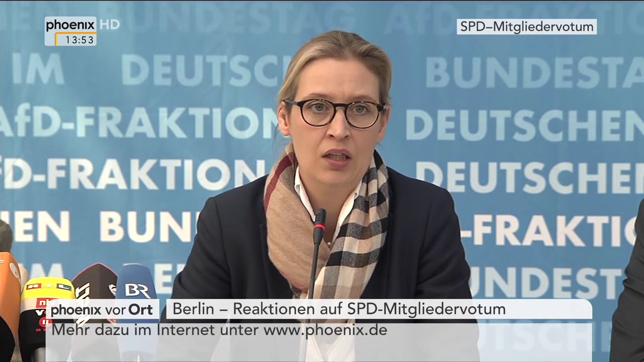 SPD Mitgliederentscheid: Statement von Alice Weidel vom 04.03.2018