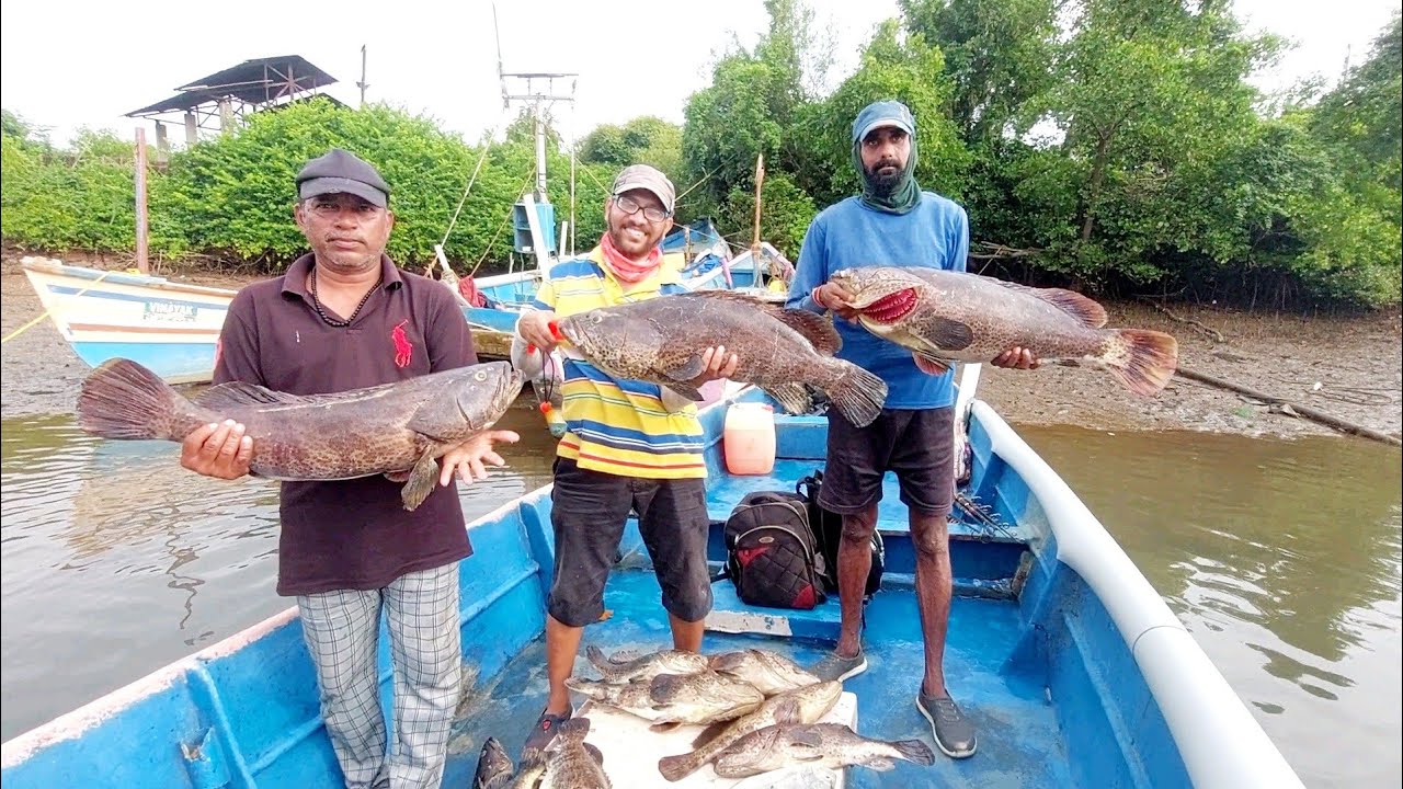 TROLLING FISHING IN GROUPER CATCH & TIPS #FISHING #FISHINGMYSTERY #RATNAGIRI FISHING 2022