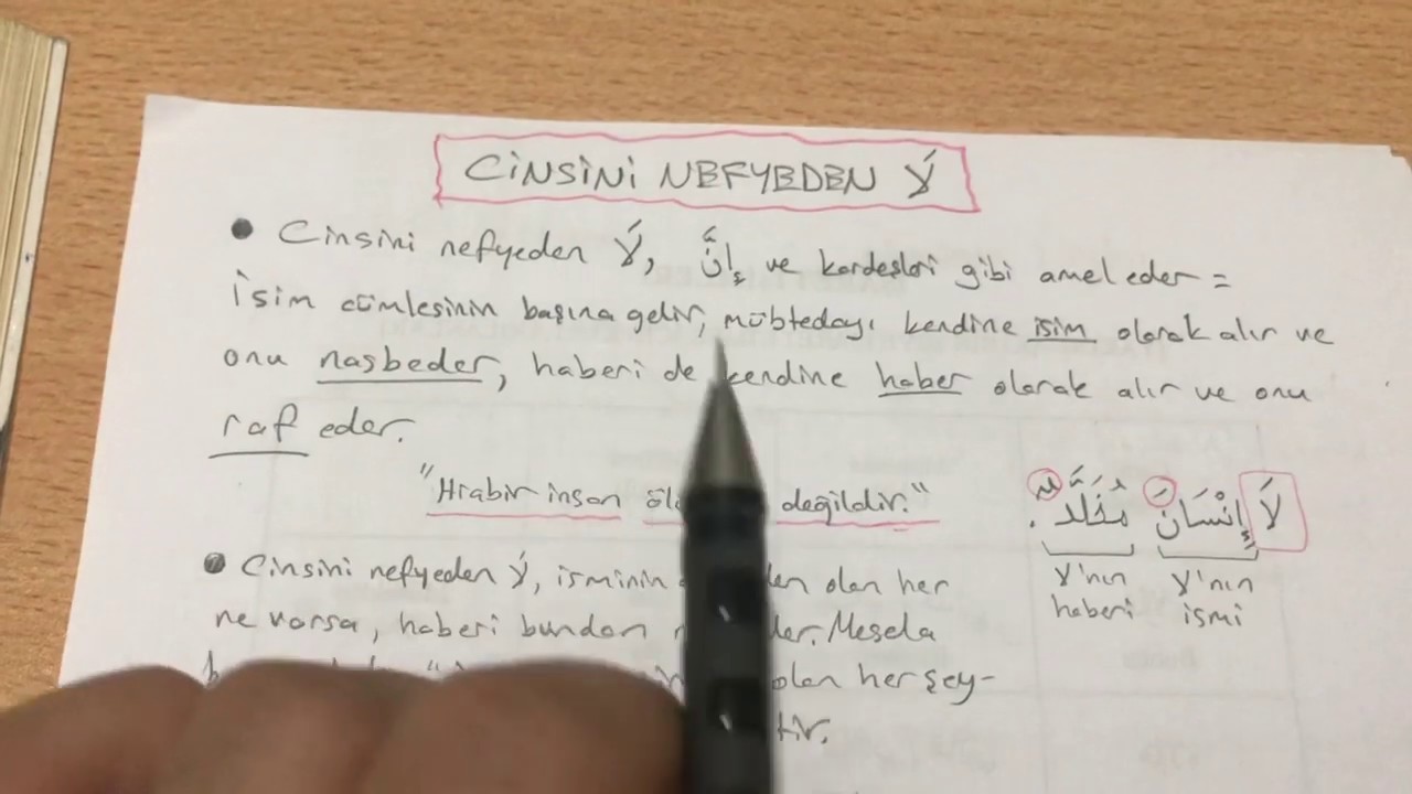 Cinsini Nefyeden Lâ 1
