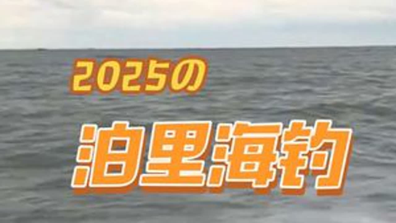 玩得玩，活也得干，该干啥干啥。再去泊里海钓，很过瘾。和青岛的朋友喝酒很痛快。临沂炒鸡很被认可。收获丰富，有好东西得孝敬父母。#vlog日常 #床车生活 #露营 #海钓 #日常生活