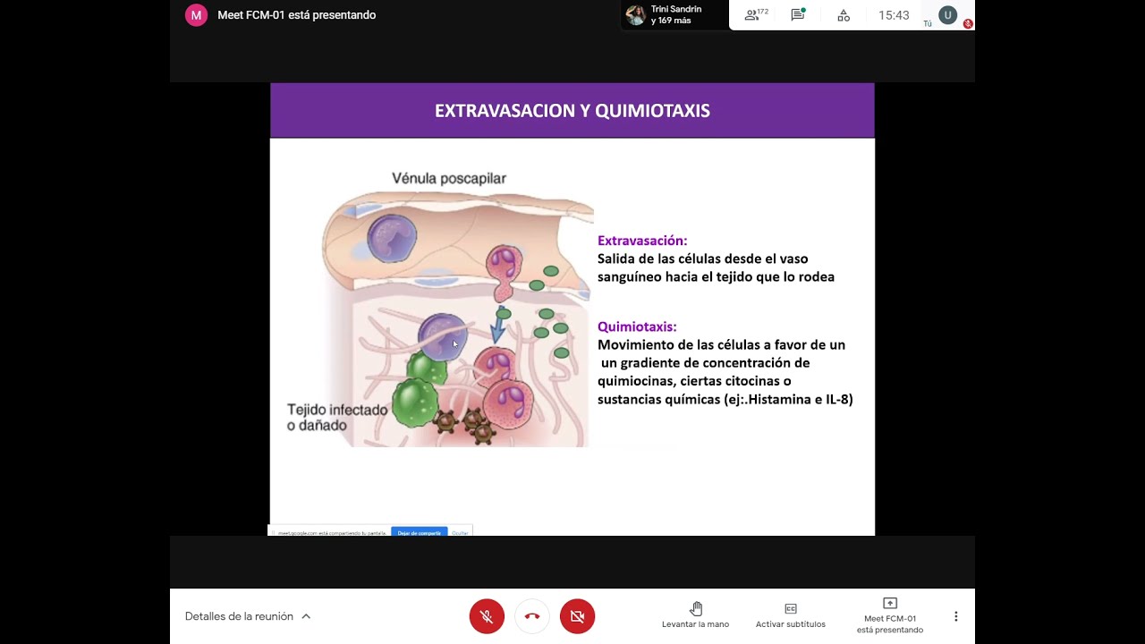 CyD: seminario de inmunología parte 1: inmunidad innata