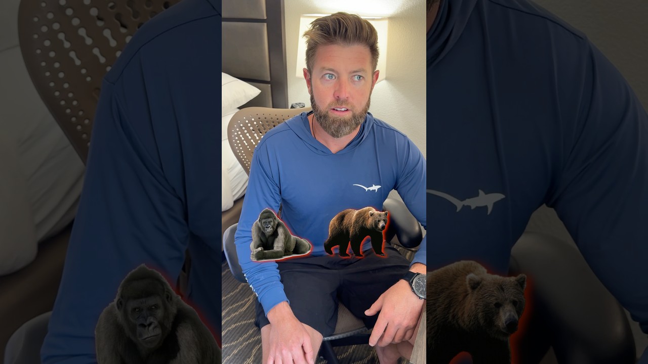 Which Animal Wins In A Fight?