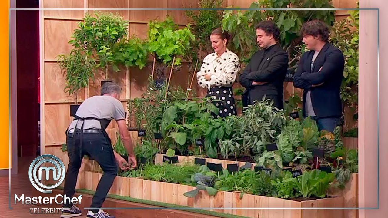 ¡Ponte a prueba! ¿Cuántos árboles frutales y hortalizas puedes identificar? | MasterChef Celebrity 9
