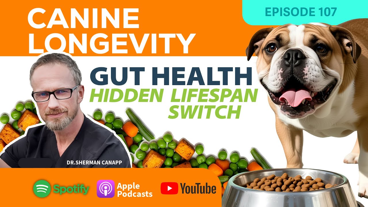 Canine Longevity 107