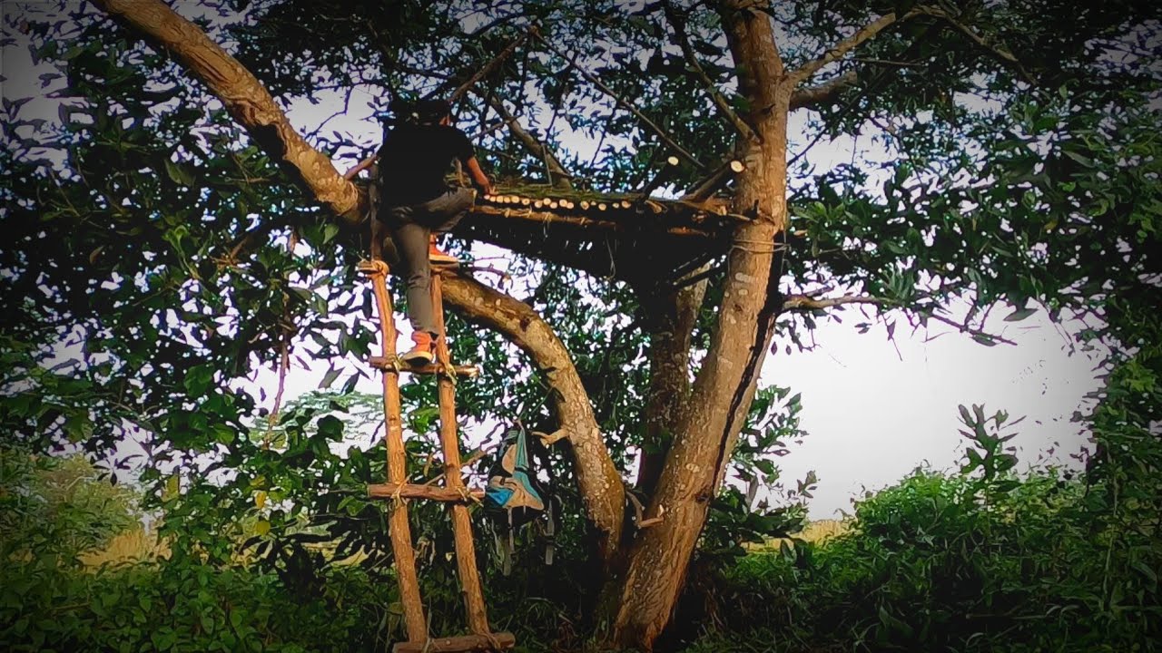 SOLO CAMPING Make a tree house in the forest and cook and spend the night #solocamping
