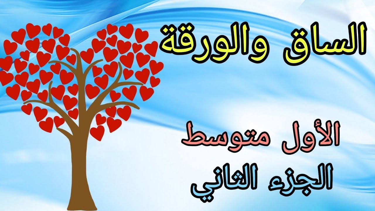 حل تمارين صفحة (81,80)الساق والورقة /الأول متوسط الجزء الثاني