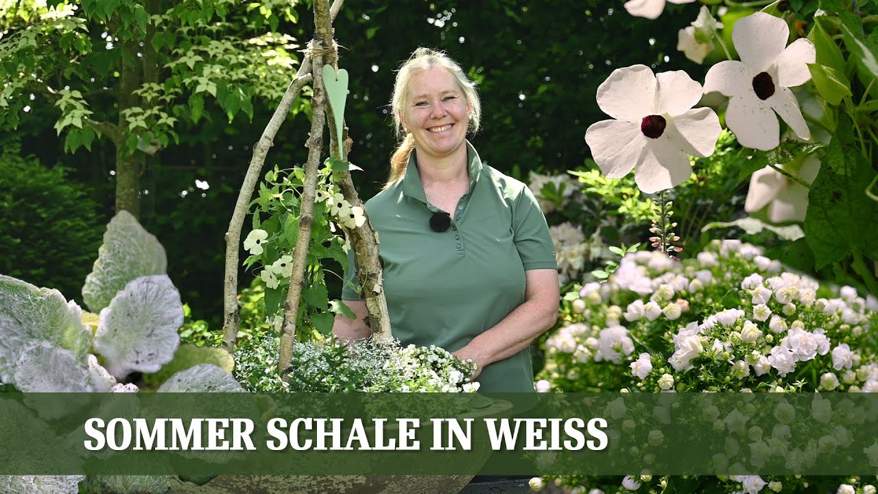 Sommerschale in Reinwei&szlig; - eine nat&uuml;rliche Inspiration f&uuml;r deinen Garten