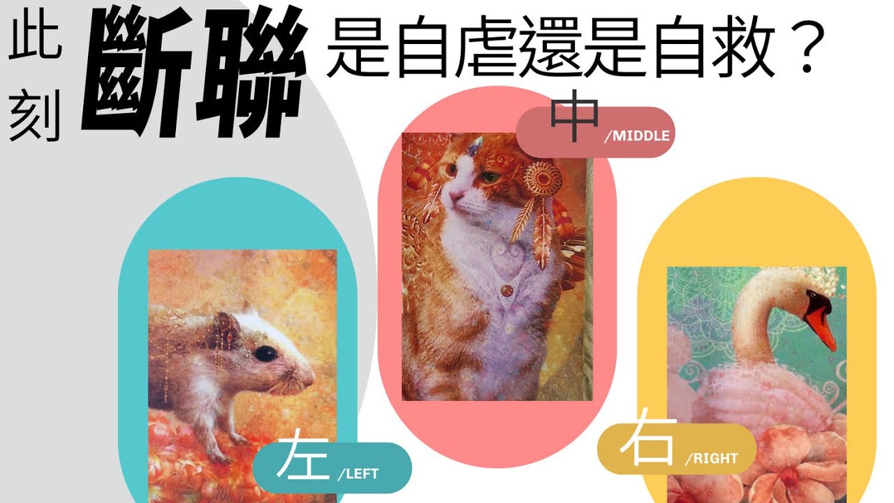 塔羅占卜🔮 近期三個月的感情發展？斷聯後，他的心理變化？選擇斷聯才是對的選擇？還是繼續維繫這段感情能開花結果？