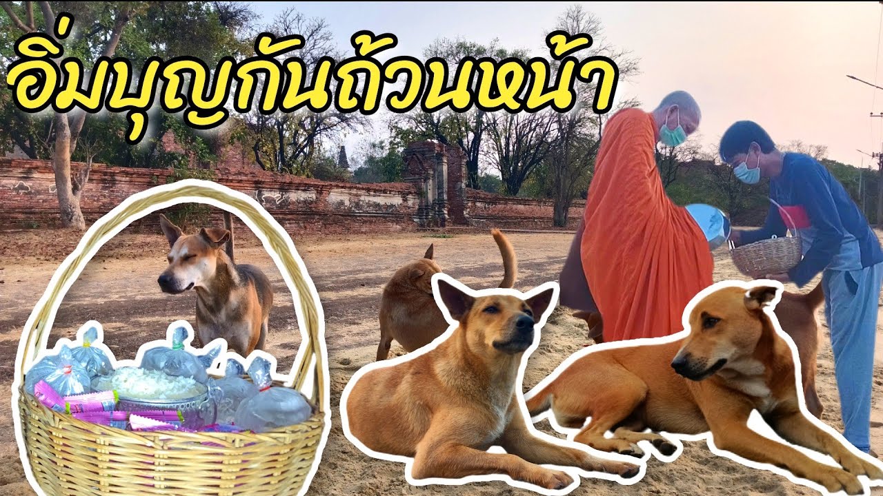 🔴🐼LIVE อิ่มบุญกันถ้วนหน้า18 ก.พ 69 #วัดมเหยงคณ์  #อยุธยา #Nopนพพลสตอรี่