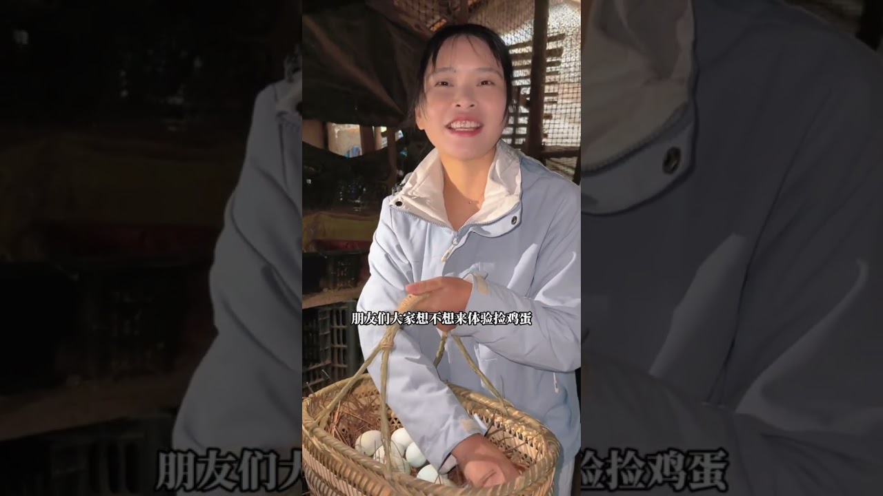 林下捡土鸡蛋，越捡越过瘾，一会功夫就捡了几篮筐 