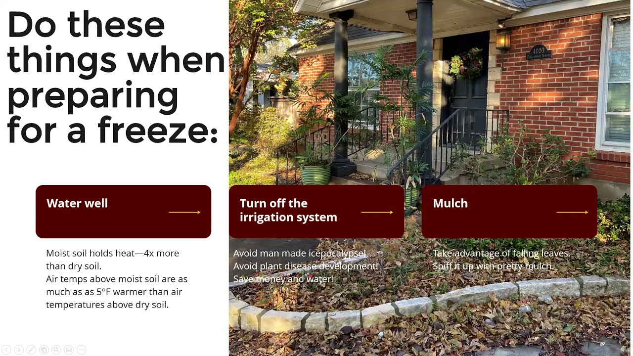 CWGA 20201118 Greenhouse and landscape overwintering