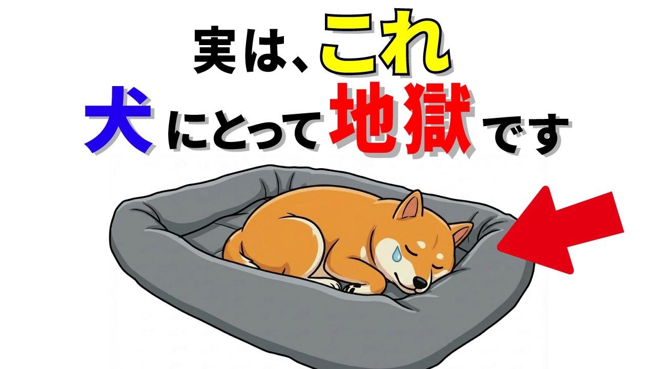【知らないと後悔】犬が泣くほど辛い。されたら嫌なこと14選