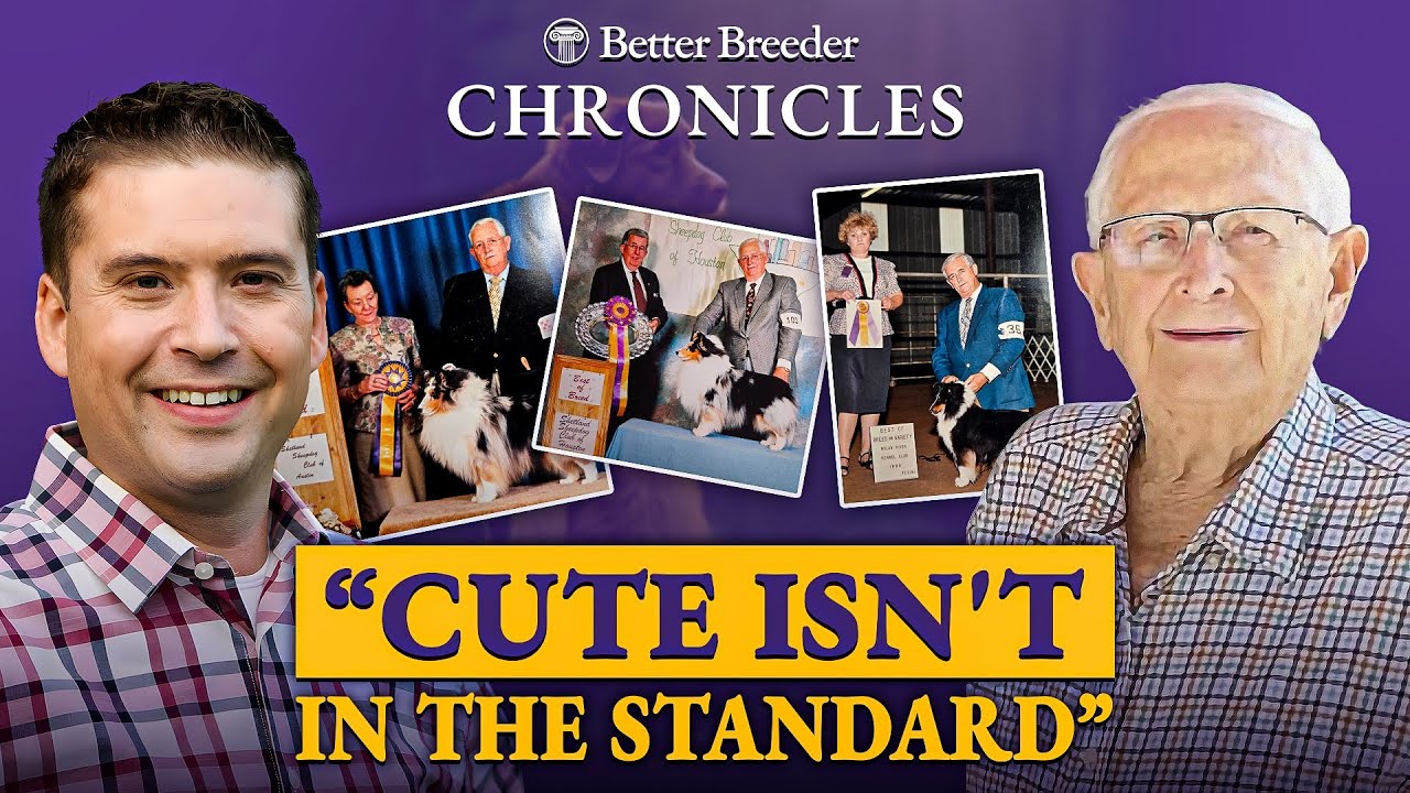 Meet Guy Mauldin: Master Breeder of Kismet Shelties