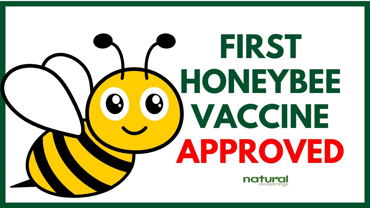 First Honeybee Vaccine Approved
