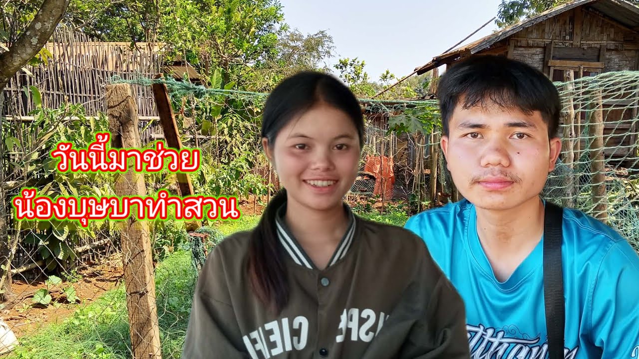 วันนี้มาช่วยน้องบุษบาทำสวน 15 กุมภาพันธ์ ค.ศ. 2026