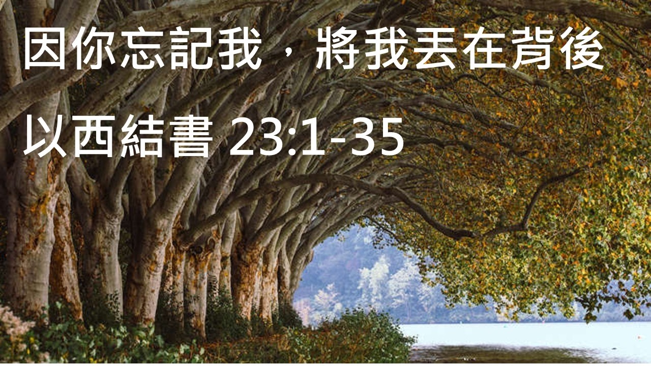 因你忘記我將我丟在背後