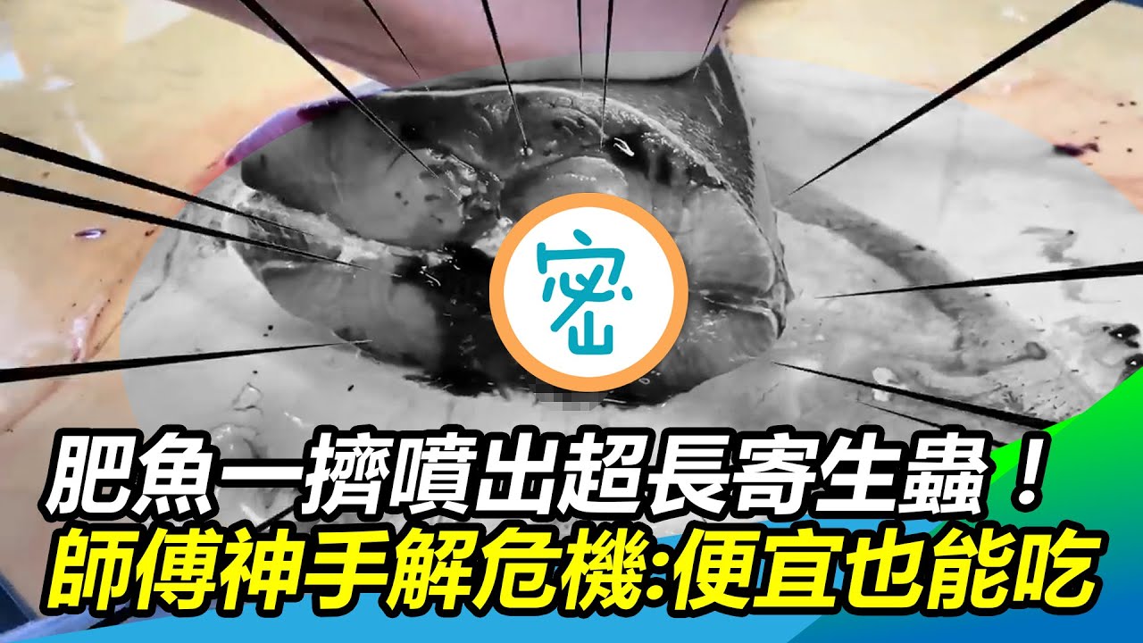 新鮮肥魚一擠噴出超長寄生蟲！師傅神手解危機：便宜也能吃｜@setn