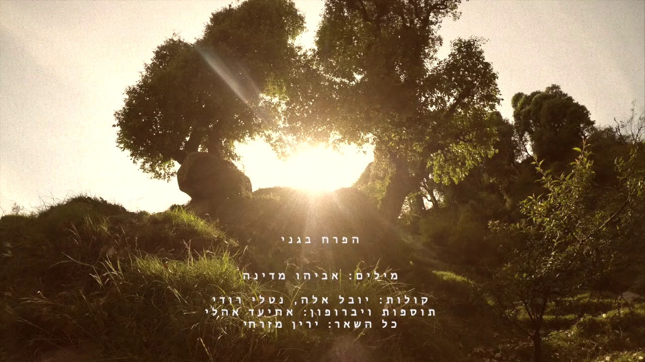 הפרח בגני - ירין מזרחי