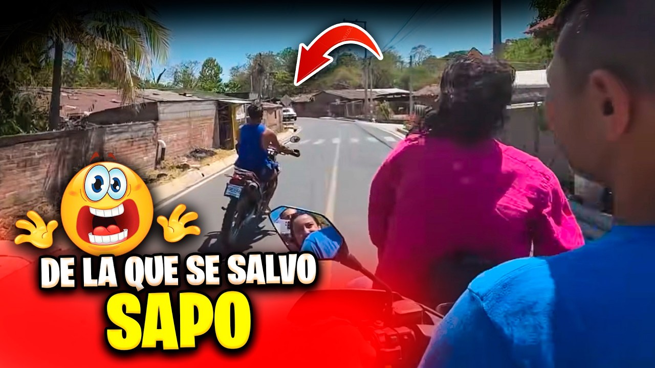 Sapo por querer impresionar casi termina en un fat4l accident3.