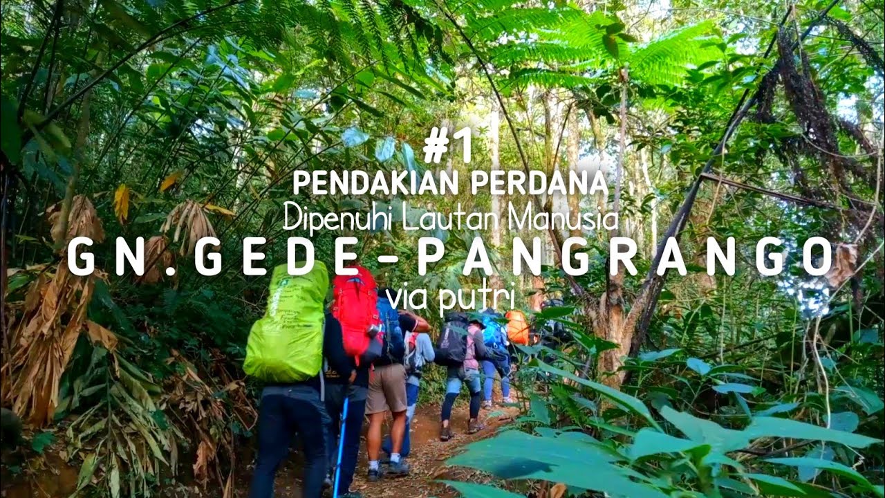 PENDAKIAN GUNUNG GEDE PANGRANGO VIA PUTRI | PENDAKIAN PERDANA GUNUNG GEDE PANGRANGO | GUNUNG GEDE #1