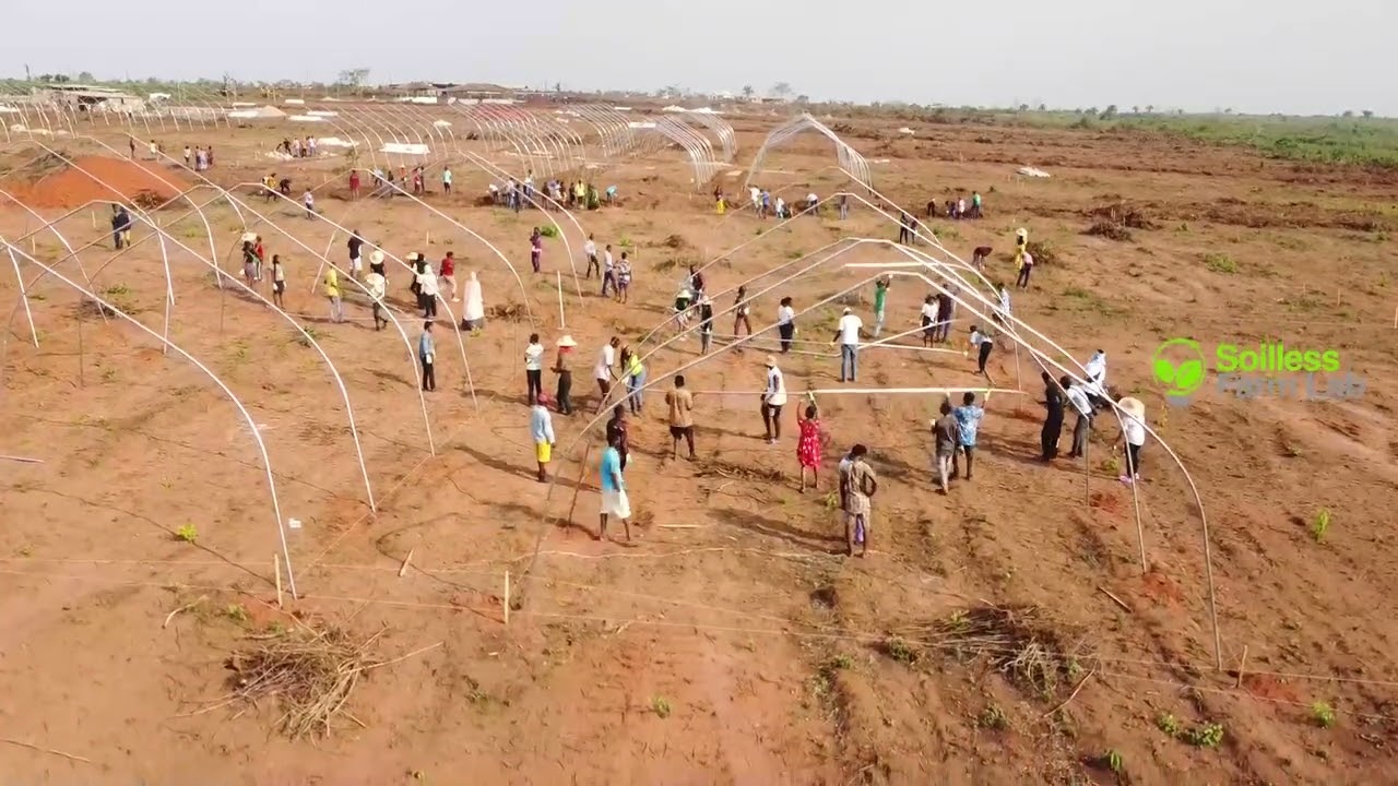 Snip into Soilless Farm Lab