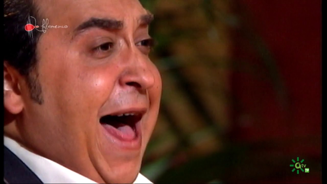 Bulerías. Fernando Terremoto. 2000