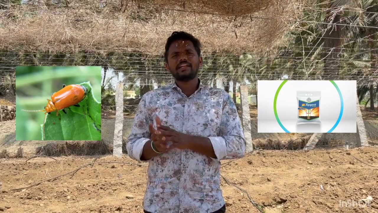 #bittergourd பாகற்காய் சாகுபடியில் 1 முதல் 30 நாள் வரை பின்பற்ற வேண்டியவைகள்