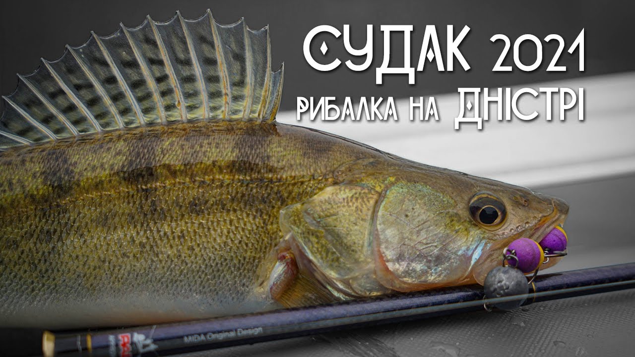 Судак 2021.  Рибалка на Дністрі